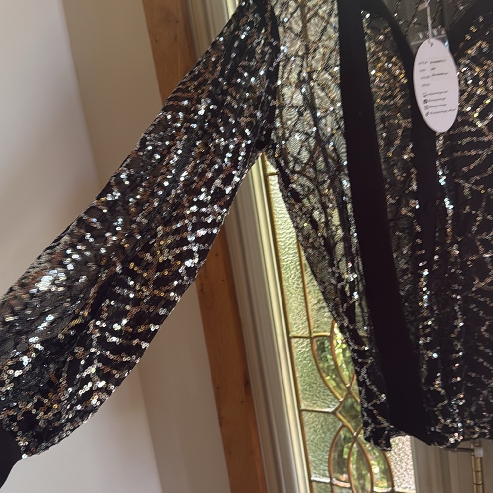 NWT Unique Vintage sequined spider web 🕸️ sheer button down - Picture 4 of 6